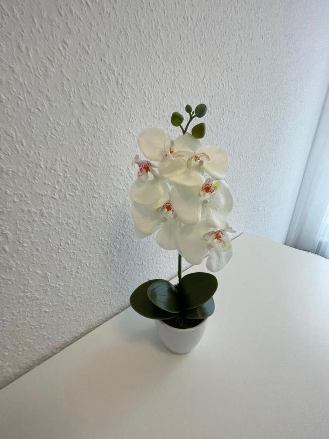 Lucky Stays Ls07 - Vollausstattung - Zentrum - Aufzug - Grosse Kueche - 2 Zimmer - Smart-Tv Magdeburg Kültér fotó